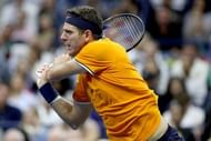 Del Potro is back in business!